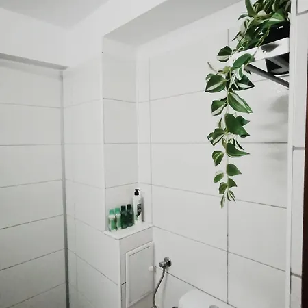 Lc Center Amzei 아파트 부쿠레슈티